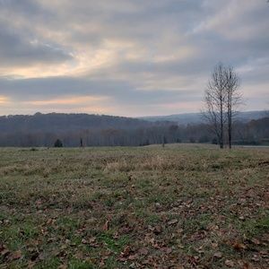 Meet your Posher, Callie